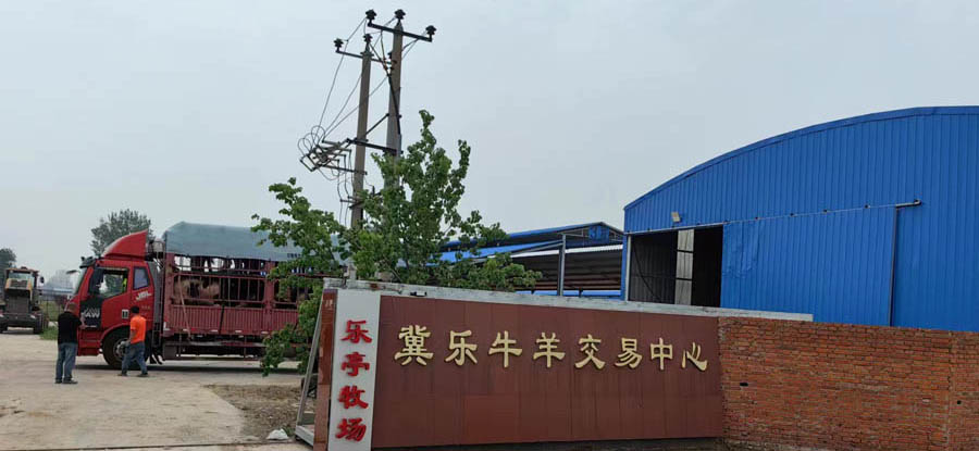 河北省唐山市樂(lè )亭縣冀樂(lè )牛羊交易中心
